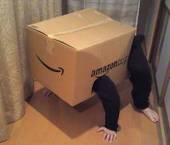 おきな('∀'●)