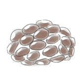ささぎ