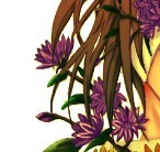 spiegel
