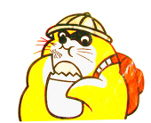浣熊干脆面