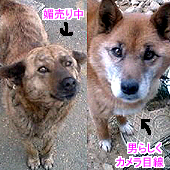 円川&一味