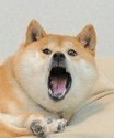伍髦