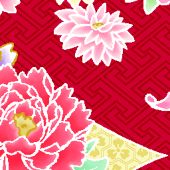 dai-nakagawa