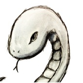 syachi