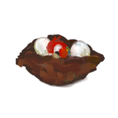 Ho9bird