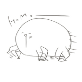 しろ