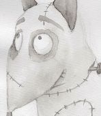 POLZAQ