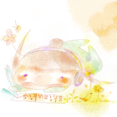 しずき