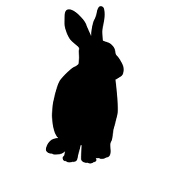 うさぎ