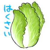 はくさい