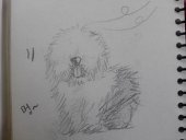 Polar.B