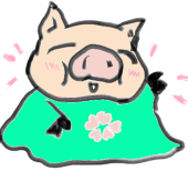 nanoLIDDELL