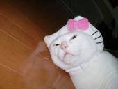 みそおでん