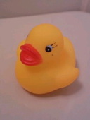 水野皐月
