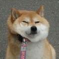 镜闻