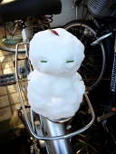 水蓮