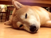 かなと
