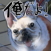 くろとら