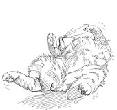 ぽんち