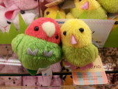 ぴーちゃん