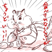 キッカ