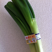 相馬せつな