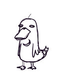 月ノ輪ガモ