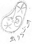 かんとー