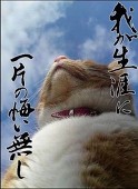 宣墨雲