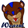 Weazul