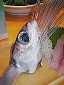 U-suke OutRoad