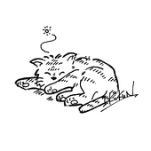 いっくん