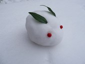雪菜