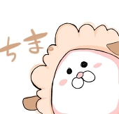 ちまり