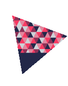 向井