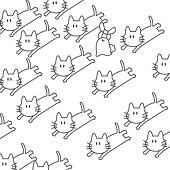 はやかわ