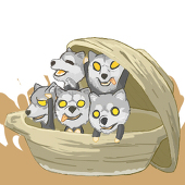 味噌煮込汰郎