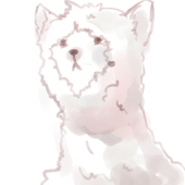 里津