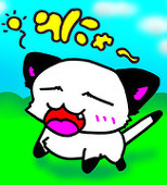 いぬめろん