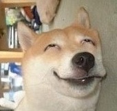 _采萝莉的小石头