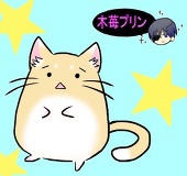 木苺プリン