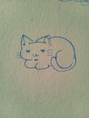 のらねこ
