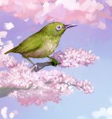 青柳 晃