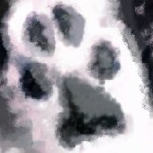 たまき