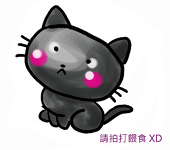 十六貓夜子