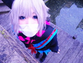 *sakura*