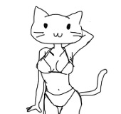 白バラ