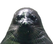 ぽんちゃん