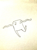 ひか類。