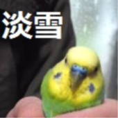 淡雪